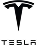 TESLA Logo