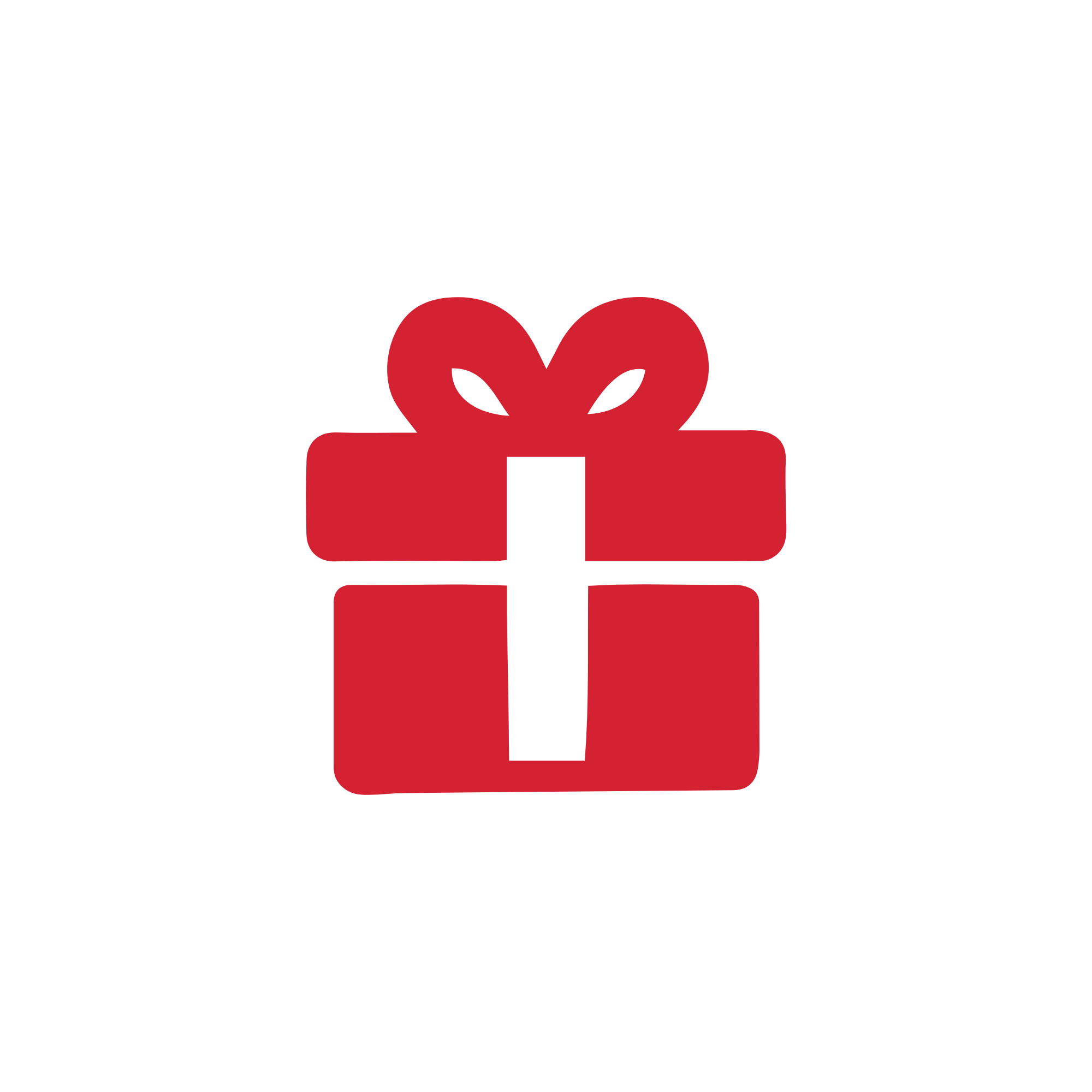 Holiday Gift Christmas Icon