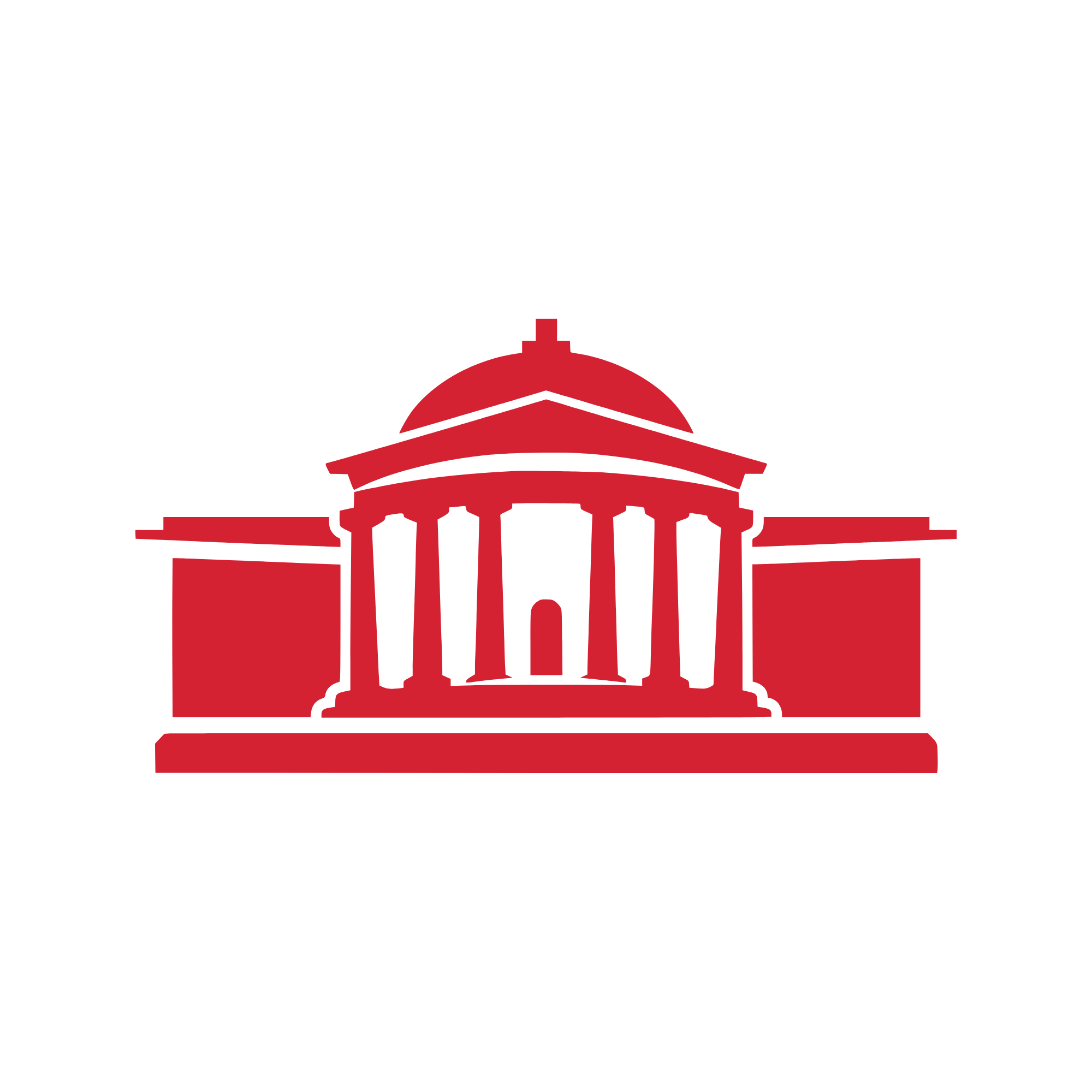 Government Icon